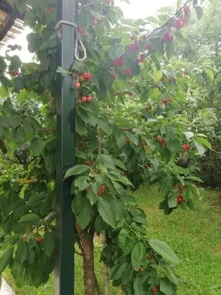 Ev, 3 Yatak Odası, Sigara İçilebilir, Balkon