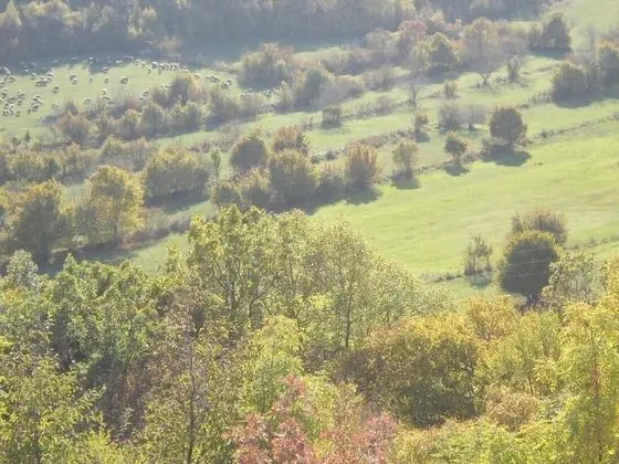 Ev, 3 Yatak Odası, Sigara İçilebilir, Balkon