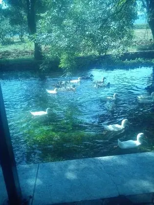 Ev, 3 Yatak Odası, Sigara İçilebilir, Balkon