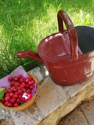 Ev, 3 Yatak Odası, Sigara İçilebilir, Balkon
