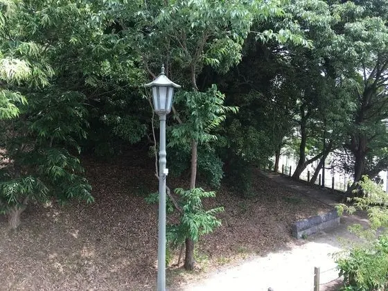Ev