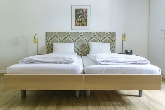 Superior Tek Büyük veya İki Ayrı Yataklı Oda (Hauptgebäude)