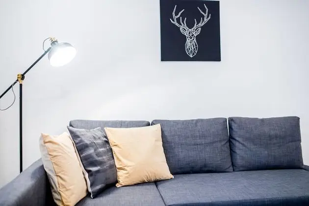 Standard Apart Daire, 1 Yatak Odası
