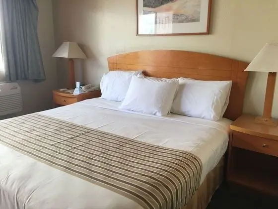 Deluxe Tek Kişilik Oda, 1 En Büyük (King) Boy Yatak