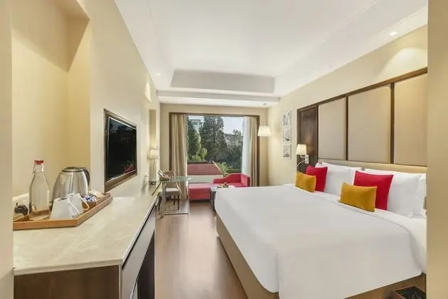 Deluxe Tek Büyük Yataklı Oda