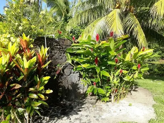 Basic Bungalov (Beach Fale )