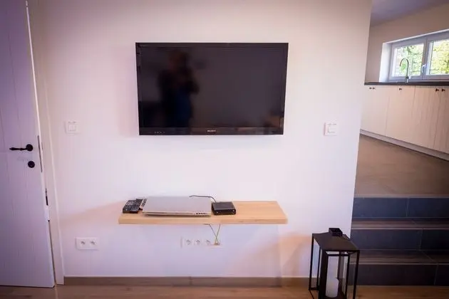Televizyon