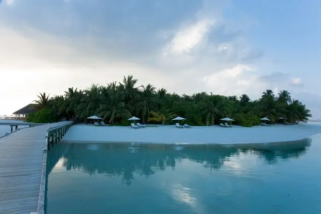 Tek Kişilik Oda Beach Front