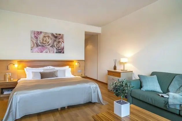 Tek Büyük veya İki Ayrı Yataklı Oda, Balkon, Göl Manzaralı (Elegance)