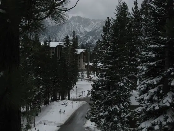 Daire, 1 Yatak Odası (+ Loft)