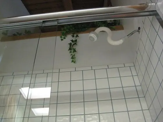 Daire, 1 Yatak Odası (+ Loft)