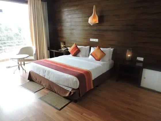 Deluxe Tek Büyük Yataklı Oda, Sigara İçilmez