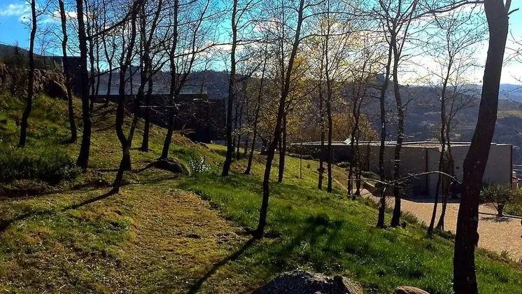 Design Bungalov, 1 Yatak Odası (Vinha)