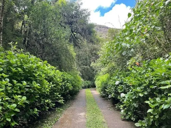 Dağ Evi (Azaléia)
