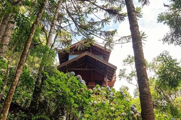 Dağ Evi (Azaléia)