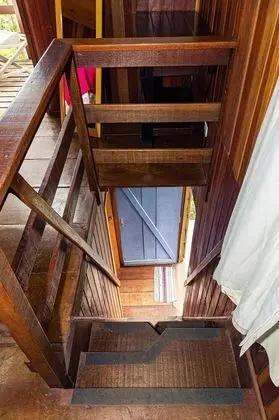 Dağ Evi (Orquídea)