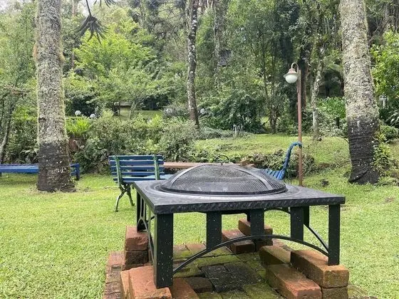 Dağ Evi (Orquídea)