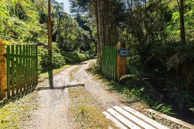 Dağ Evi (Orquídea)