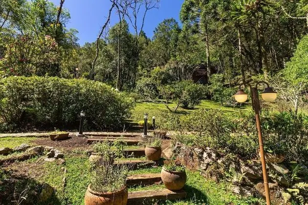 Dağ Evi (Orquídea)