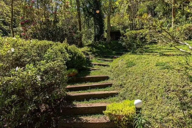 Dağ Evi (Orquídea)