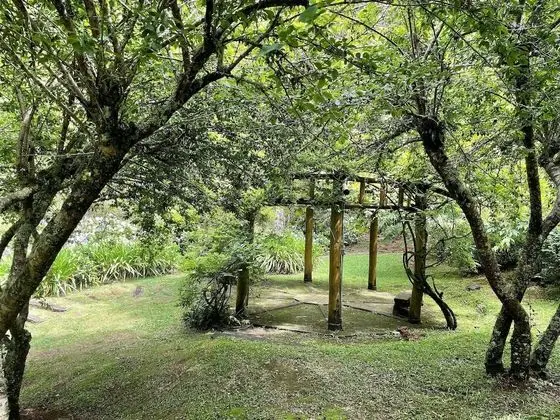 Dağ Evi (Orquídea)