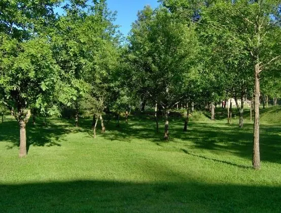 Oda, 1 Yatak Odası, Engellilere Uygun, Şömine