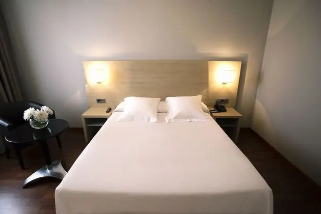 Economy Tek Büyük Yataklı Oda (2 pax)