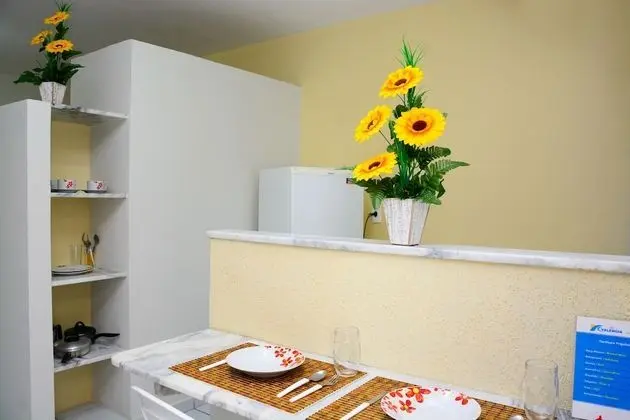 Standard Apart Daire, Mutfak