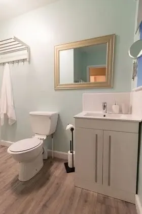Standard Tek Büyük Yataklı Oda (V3)