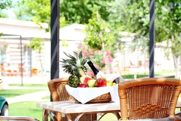 Standard Bungalov, Teras (2 Adults + 1 Child)