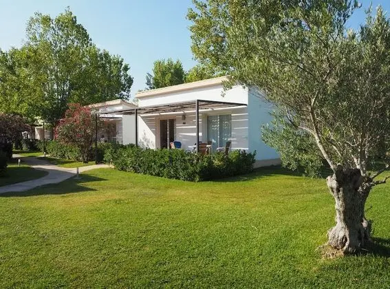 Standard Bungalov, Teras (2 Adults + 2 Children)