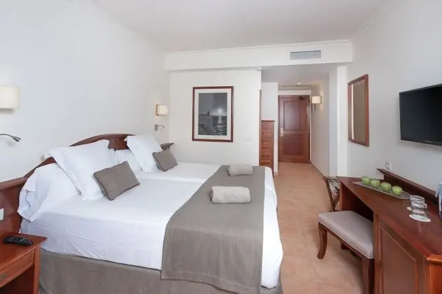 Standard Oda (Single Use)