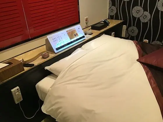 Deluxe Tek Büyük Yataklı Oda, Sigara İçilebilir