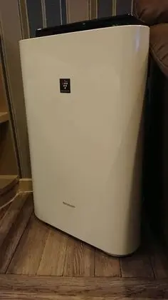 Deluxe Tek Büyük Yataklı Oda, Sigara İçilebilir