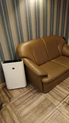 Deluxe Tek Büyük Yataklı Oda, Sigara İçilebilir