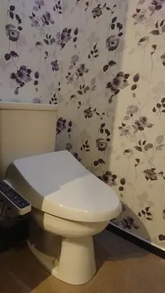 Deluxe Tek Büyük Yataklı Oda, Sigara İçilebilir