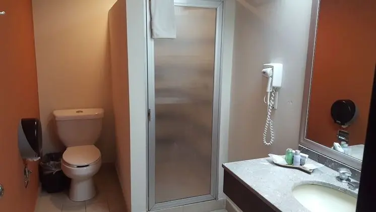 Standard Tek Büyük Yataklı Oda, 2 Çift Kişilik Yatak