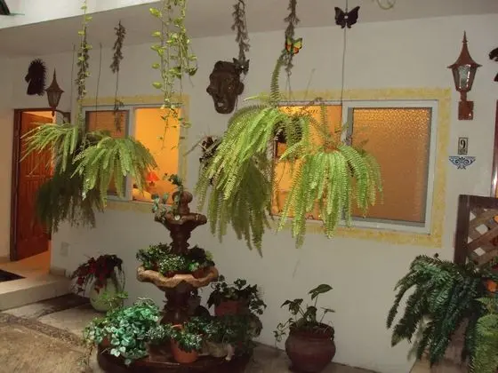 Oda, 1 Yatak Odası, Balkon