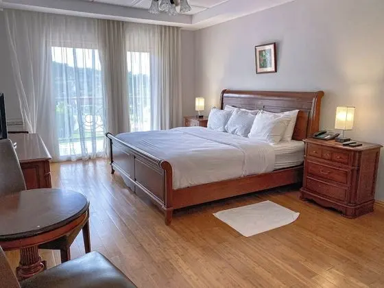 Standard Oda, 1 En Büyük (King) Boy Yatak, Dağ Manzaralı