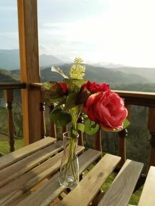 Panoramic Tek Büyük veya İki Ayrı Yataklı Oda