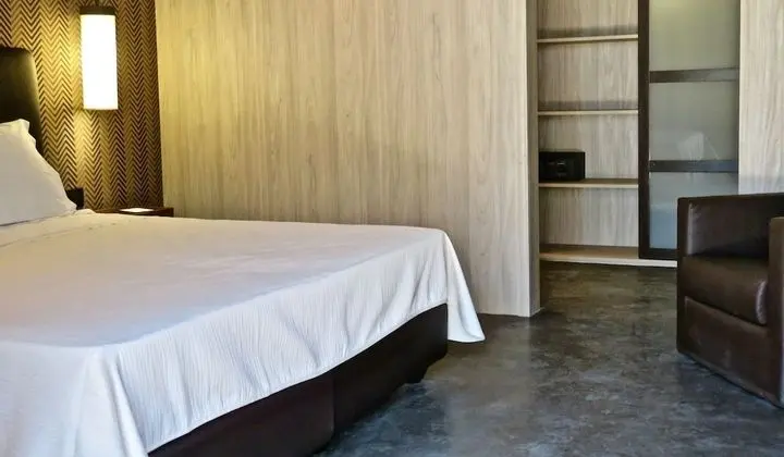 Executive Tek Büyük Yataklı Oda