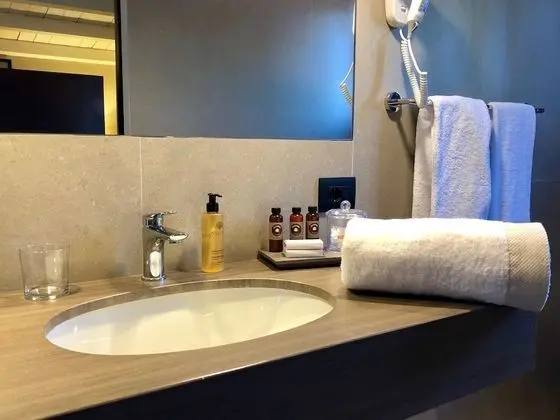 Executive Tek Büyük Yataklı Oda