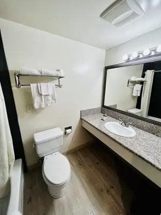 Standard Tek Büyük Yataklı Oda, 2 Büyük (Queen) Boy Yatak, Sigara İçilmez