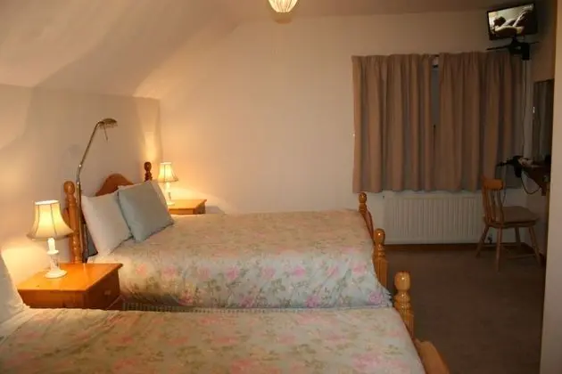 Deluxe Tek Büyük veya İki Ayrı Yataklı Oda, 1 Yatak Odası