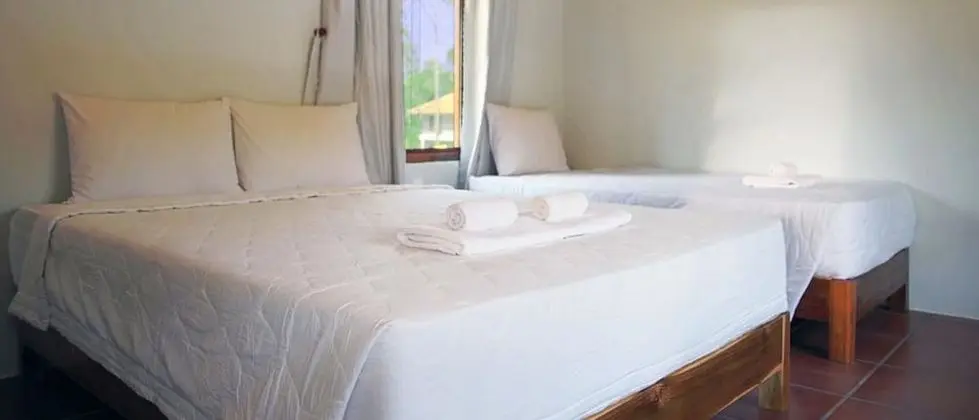 Comfort Oda, Birden Çok Yatak, Havuz Manzaralı