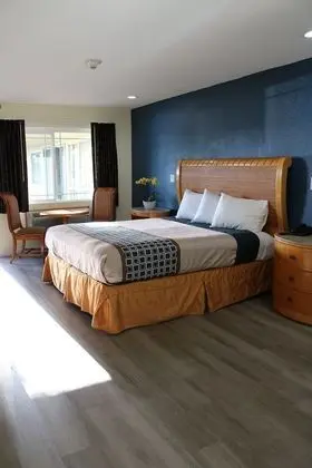 Premium Oda, 1 En Büyük (King) Boy Yatak, Engellilere Uygun, Sigara İçilmez