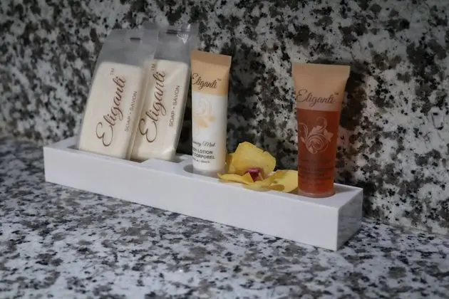 Premium Oda, 1 En Büyük (King) Boy Yatak, Sigara İçilmez