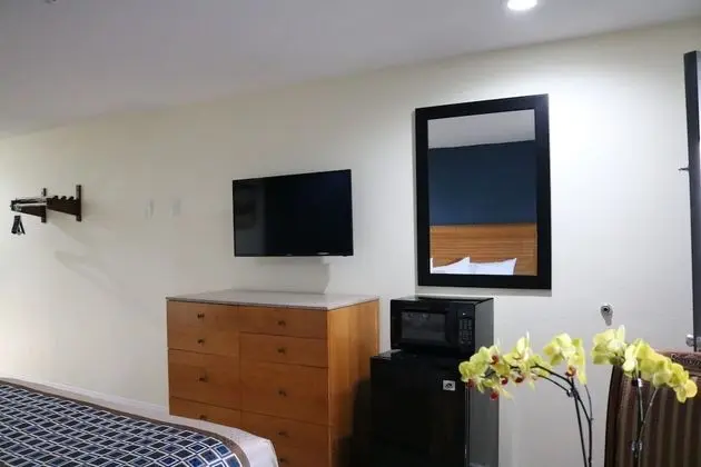 Premium Oda, 2 Çift Kişilik Yatak, Sigara İçilmez