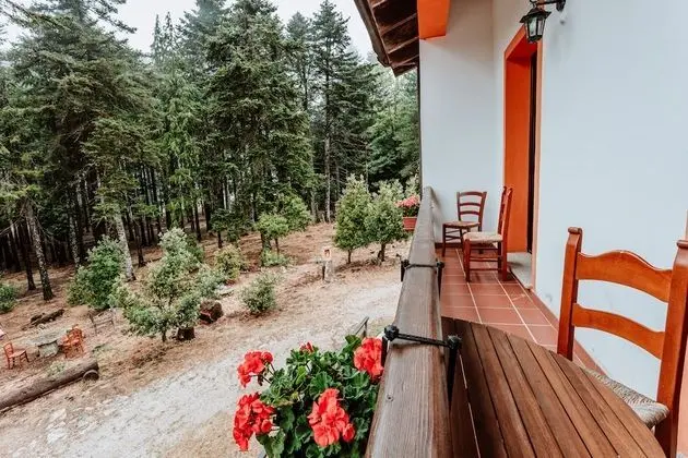 Classic Oda, Balkon, Park Manzaralı
