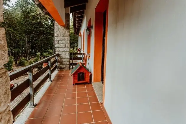 Classic Oda, Balkon, Park Manzaralı